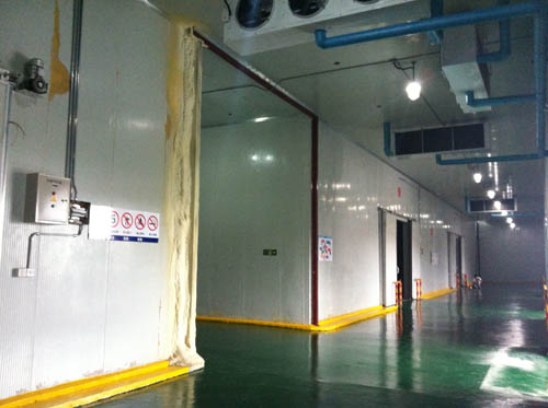 上海佳凌货运大型物流冷库内部图片4-肯德建造