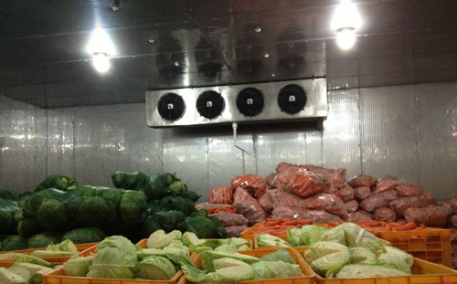 100立方米蔬菜保鲜冷库造价-肯德冷库