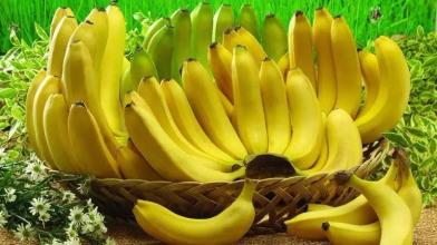 建一个15吨香蕉冷库造价多少钱？